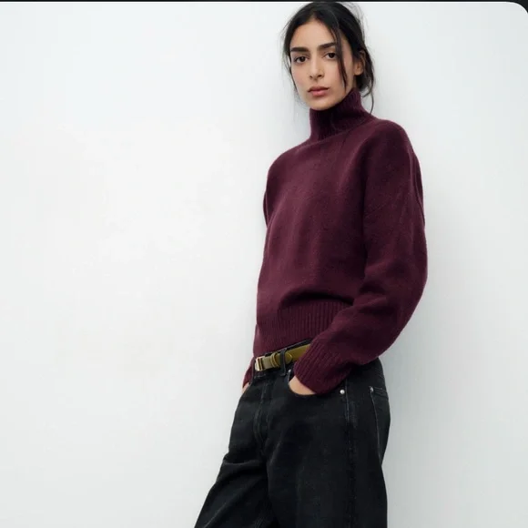 Zara Maroon Turtleneck Sweater - Picture 4 of 4